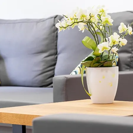 Apartsatideluxe *